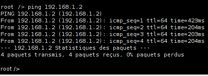 Commande ping